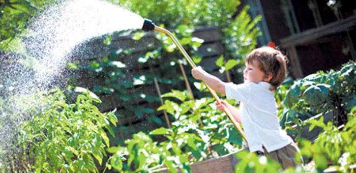 sprinklers, lawn care, fertilization, bug spray, landscaping, omaha