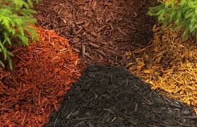 sprinklers, lawn care, fertilization, bug spray, landscaping, omaha
