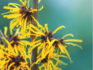 sprinklers, lawn care, fertilization, bug spray, landscaping, omaha