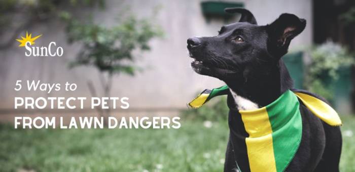 sprinklers, lawn care, fertilization, bug spray, landscaping, omaha