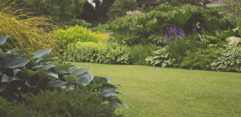sprinklers, lawn care, fertilization, bug spray, landscaping, omaha